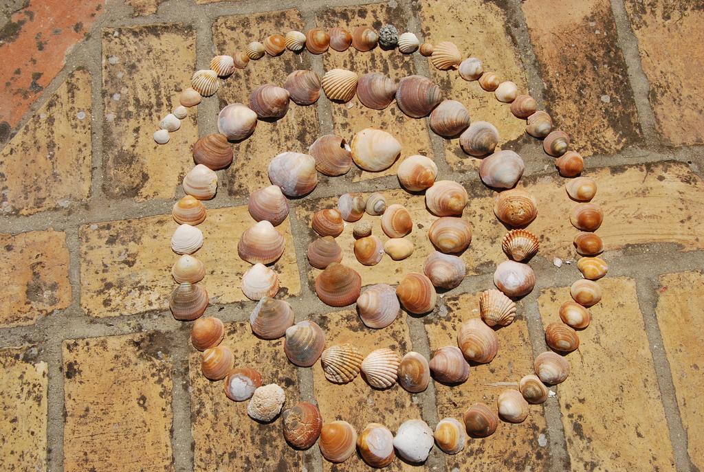 Casa Leonor Vendégház Vejer de la Frontera Kültér fotó